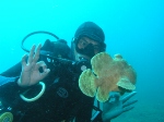 Giant Frogfish and Diver